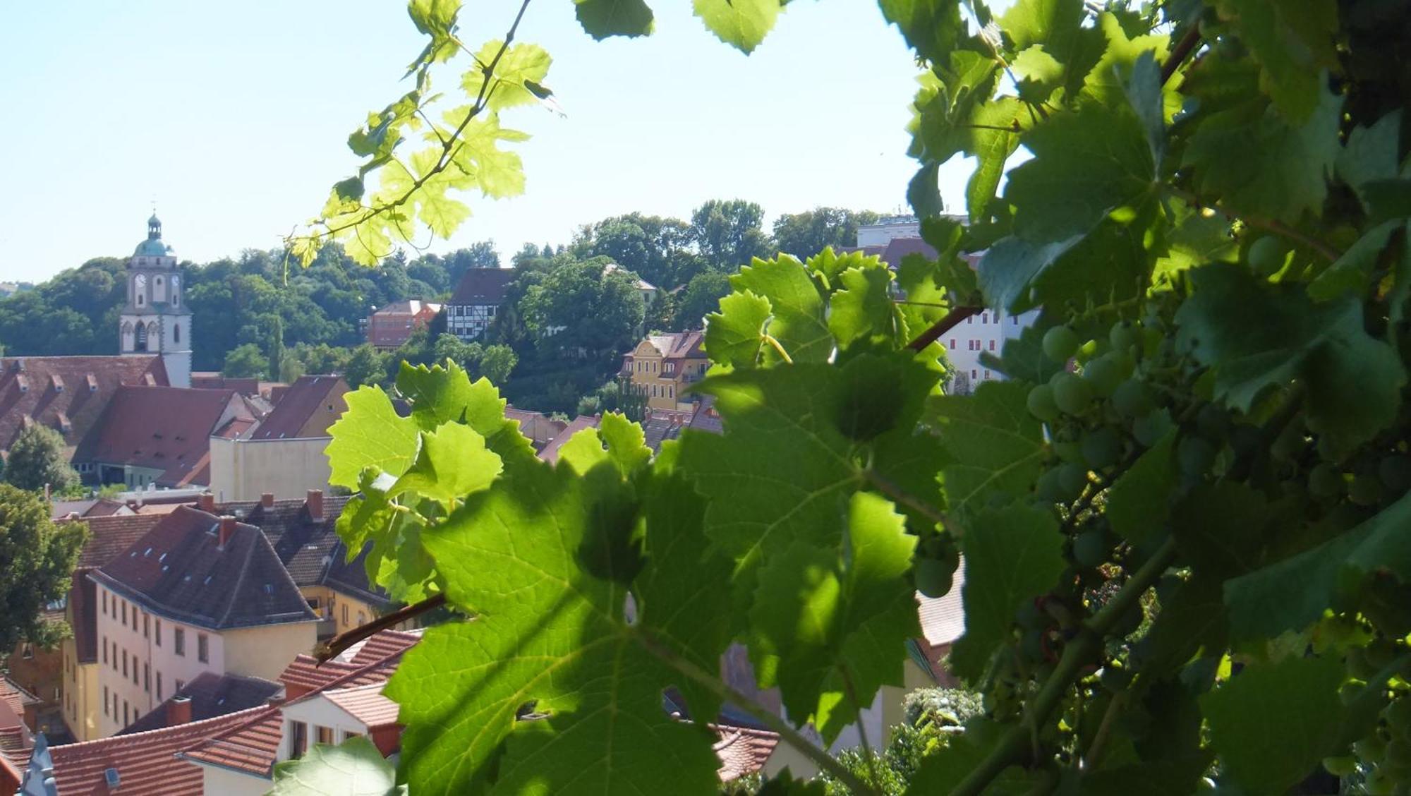 Hotel Schlossberg Meissen Ngoại thất bức ảnh